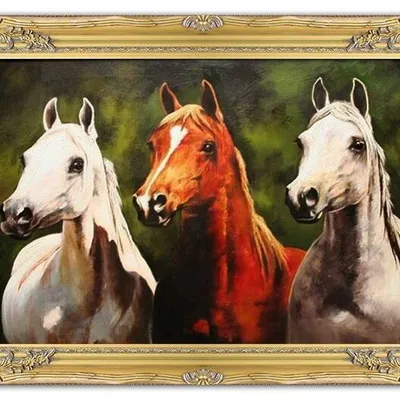 Zwierzęta - andaluzyjskie - 75x105 cm - g04435