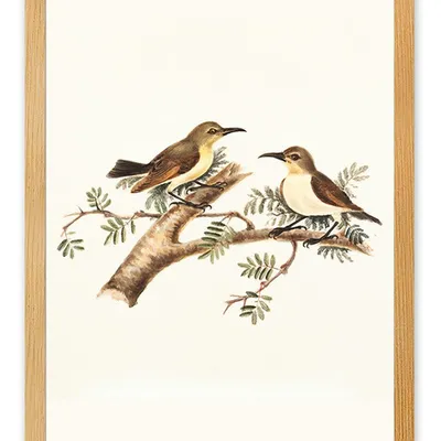 Obraz - ptaki - 33x43cm - g111924