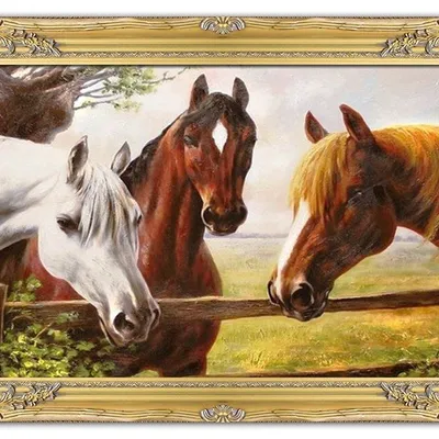 Obraz - konie - 74x104cm - g04434