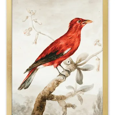 Obraz - ptaki - 33x43cm - g113463