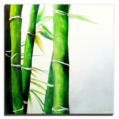 Feng shui - żywa zieleń bambusa - 60x60 cm - g01667