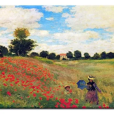 Claude monet - pole maków - 50x70 cm - g92512