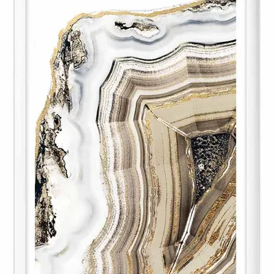 Obraz - abstrakcje organiczne - 33x43cm - g101685