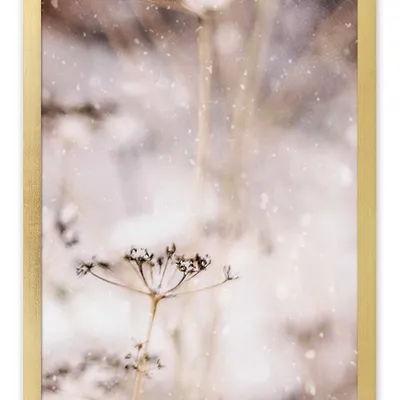 Obraz - inne - 33x43cm - g118103