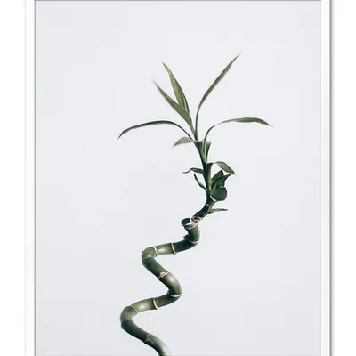 Obraz - inne - 43x53cm - g104415