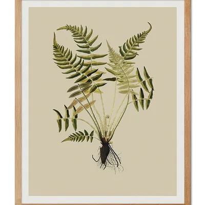 Obraz - inne - 43x53cm - g107045