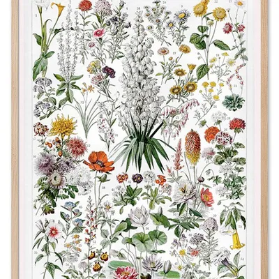 Obraz - inne - 53x73cm - g104221