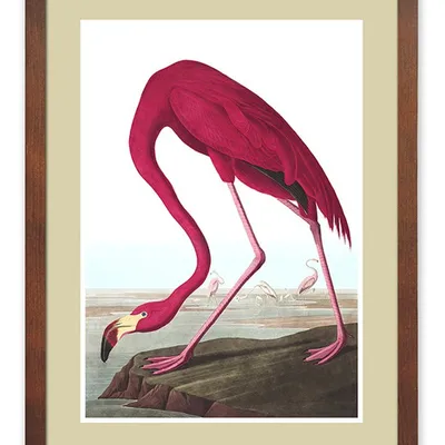 Obraz - ptaki - 33x43cm - g114833