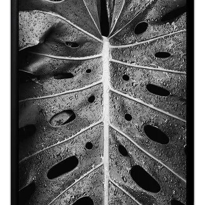 Obraz - tropikalne liście i kwiaty - 33x43cm - g102607