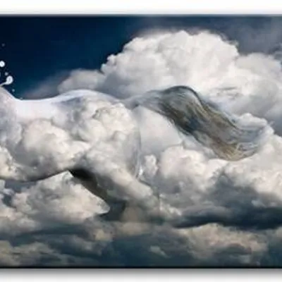 Wild nature - biały tuman - 150x50 cm - g93240