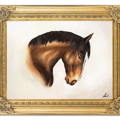Obraz - konie - 40x50cm - g03829