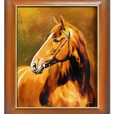 Zwierzęta - siła i spokój - 50x60 cm - g04032