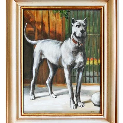 Obraz - psy i koty - 42x52cm - g03577