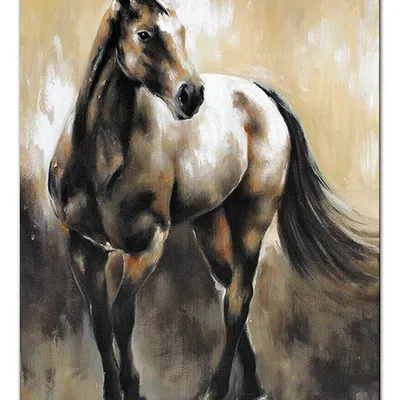 Obraz - konie - 50x70cm - g98494