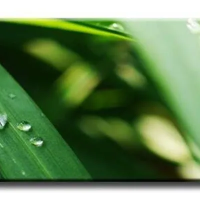 Macro - krople rosy - 150x50 cm - g92775