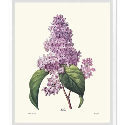 Obraz - inne - 43x53cm - g100527