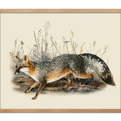 Obraz - inne - 43x53cm - g111929