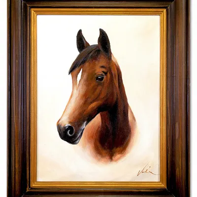 Obraz - konie - 42x52cm - g02570