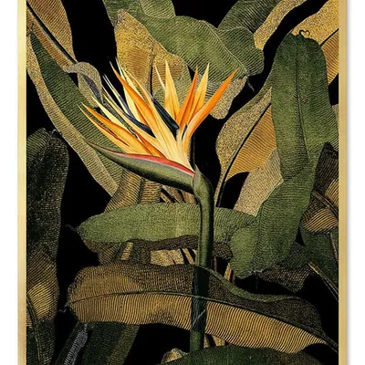 Obraz - tropikalne liście i kwiaty - 53x73cm - g103343