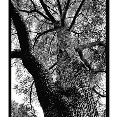 Obraz - inne - 63x93cm - g99021