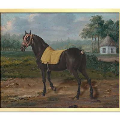 Obraz - konie - 43x53cm - g111789