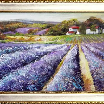 Pola lawendowe - kwitąca pora - 64x84 cm - g93954