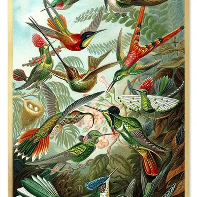 Obraz - ptaki - 63x93cm - g103512
