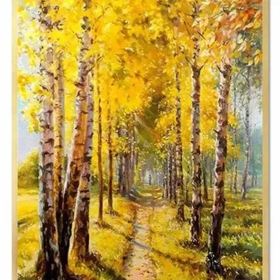Krajobrazy - brzozowa alejka - 68x89 cm - g94381