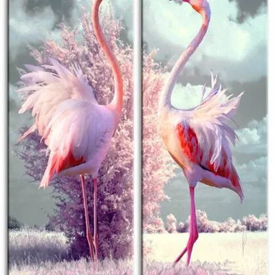 Wild nature - flamingi - 150x50 cm x2 - g93308