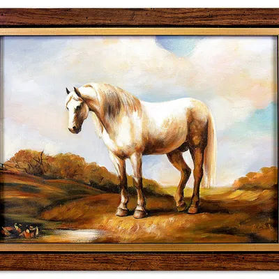 Obraz - konie - 37x47cm - g03589