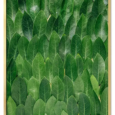 Obraz - tropikalne liście i kwiaty - 53x73cm - g115685