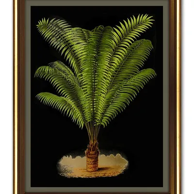 Obraz - tropikalne liście i kwiaty - 34x44cm - g100208