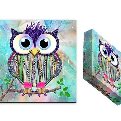 Sowy - sówka lola - 20x20x3 cm - g94514