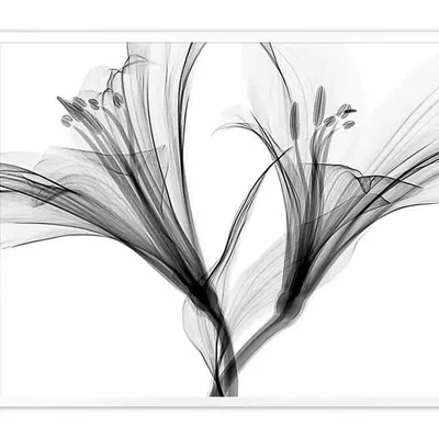 Obraz - inne - 43x53cm - g104150