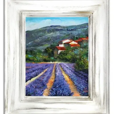 Pola lawendowe - pachnące grządki - 66x76 cm - g15810