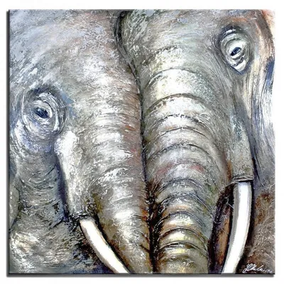 Obraz - słonie - 90x90cm - g01369