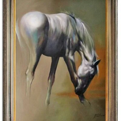 Zwierzęta - biały ogier - 63x84 cm - g15446