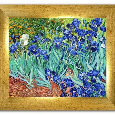 Vincent van gogh - irysy - 24x30 cm - g95165