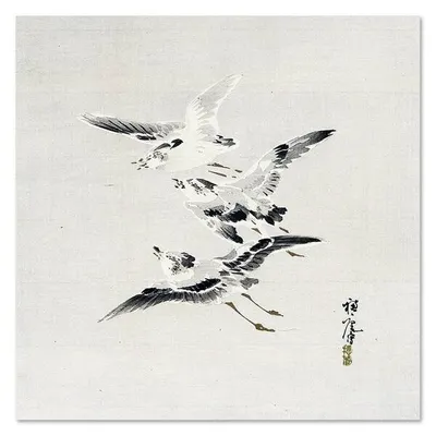 Obraz drukowany - styl orientalny - 60x60 cm - g109346