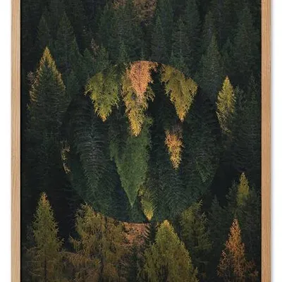 Obraz drukowany - pejzaże - 53x73 cm - g114984