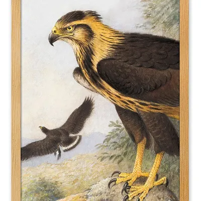 Obraz - ptaki - 33x43cm - g111927