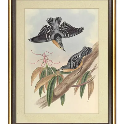 Obraz - ptaki - 34x44cm - g114915