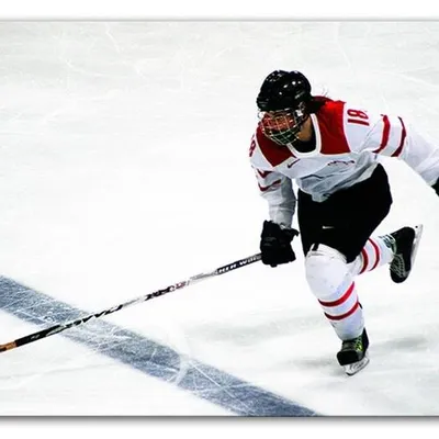 Sport - hokej - 60x90 cm - g93517