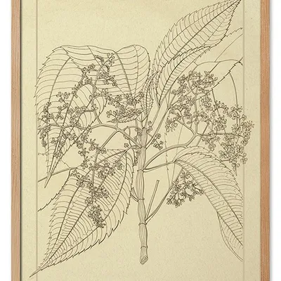 Obraz - inne - 53x73cm - g114946