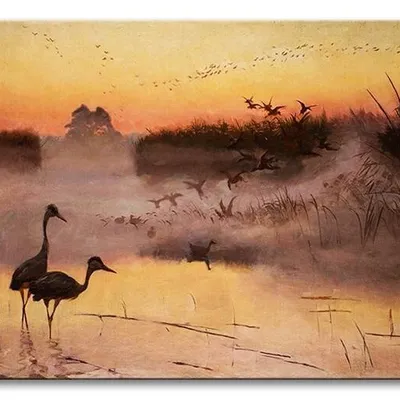 Józef chełmoński - świt. królestwo ptaków - 60x90 cm - g94183