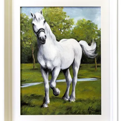 Obraz - konie - 39x49cm - g98948