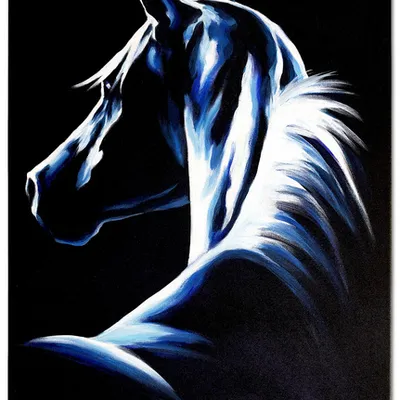 Obraz - konie - 50x70cm - g03745