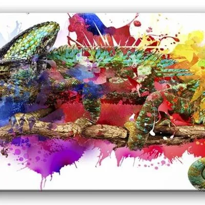 Wild nature - kameleon - 90x45 cm - g93254