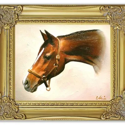 Obraz - konie - 30x35cm - g05199