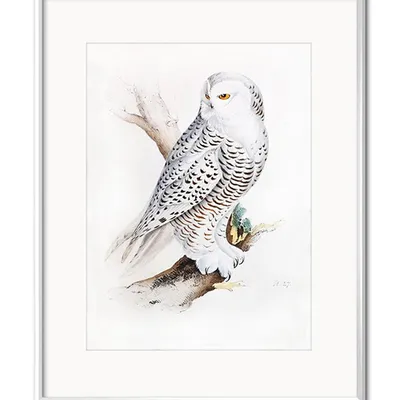 Obraz - ptaki - 21x26cm - g107759